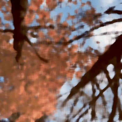 NOVEMBERのジャケット写真