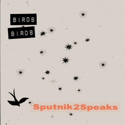 Birdsのジャケット写真