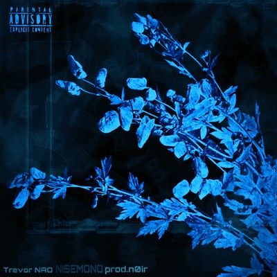 NISEMONO Front Cover