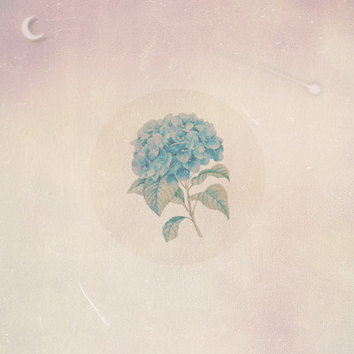 night hydrangea (feat. Fei_) Front Cover