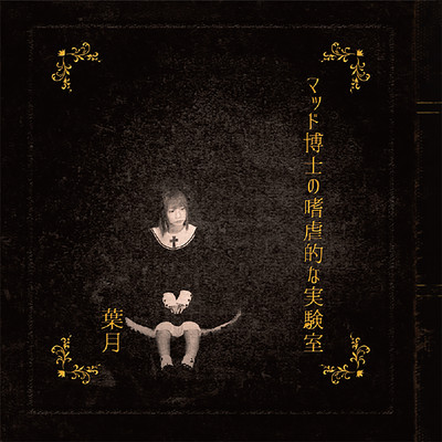 Dr. Mad's cruel laboratory Front Cover