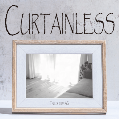 Curtainlessのジャケット写真