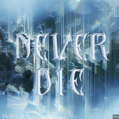 NEVER DIEのジャケット写真