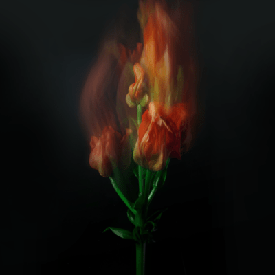 flame Front Cover