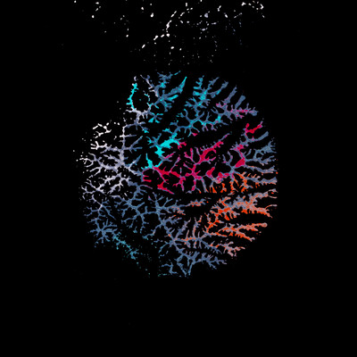 salmagundiのジャケット写真