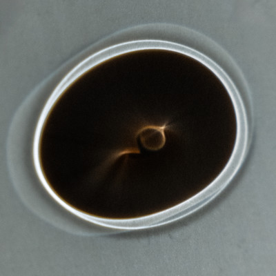 What Do You Mean Front Cover