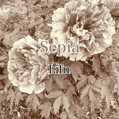 Sepia (Another Mix) Front Cover