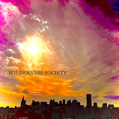 WILDERNESS SOCIETYのジャケット写真