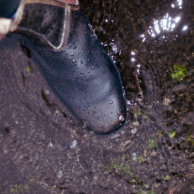 wastedのジャケット写真