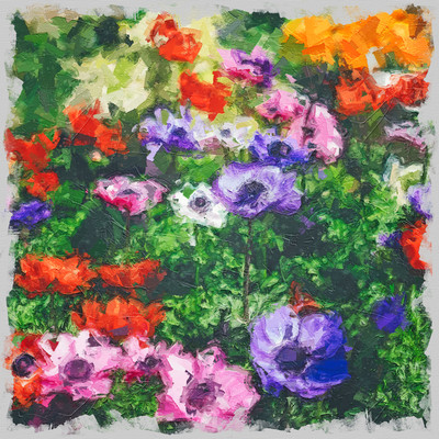 Bloom Front Cover