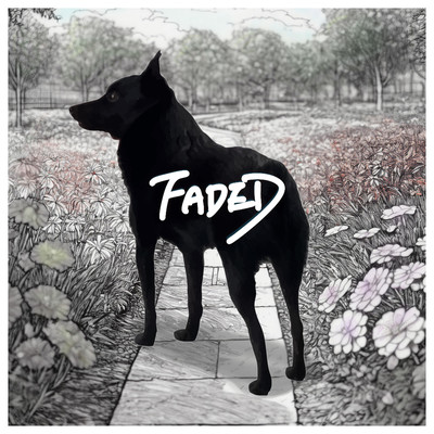 FADED Front Cover