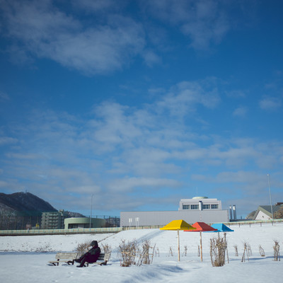 Live in the northのジャケット写真