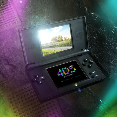 4DS (feat. Nakamura Minami, echo & valknee) Front Cover