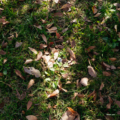 Hope you (feat. ミキ)のジャケット写真