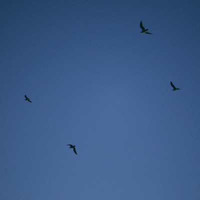 somedayのジャケット写真