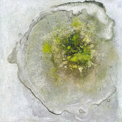 Zawameki and Visions Front Cover