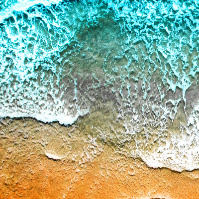 bitter soilのジャケット写真