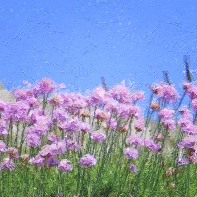 Flower Message Front Cover