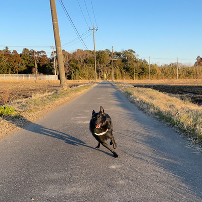 Don't Stop Front Cover