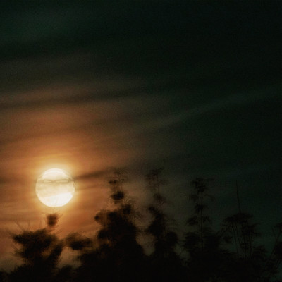 Paraseleneのジャケット写真