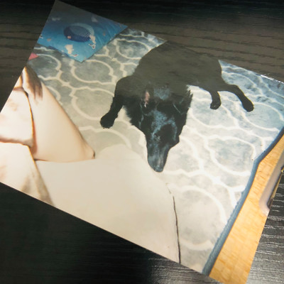 sono sakimadeのジャケット写真