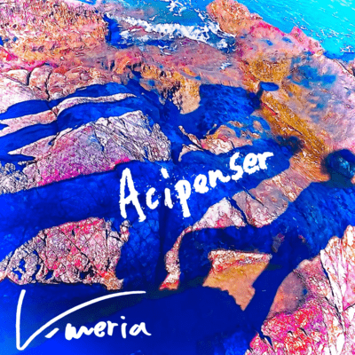 Acipenser Front Cover