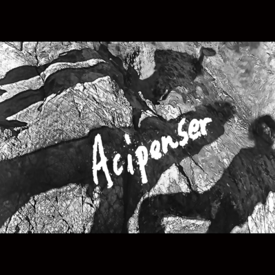 Acipenser (Live at K'sDream, Chiba, 2026) Front Cover