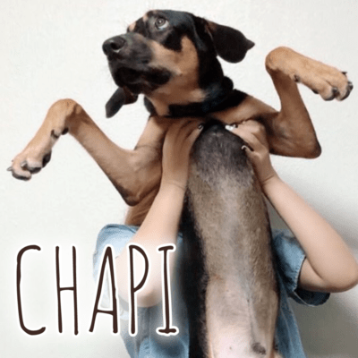 CHAPI (feat. KEY) Front Cover