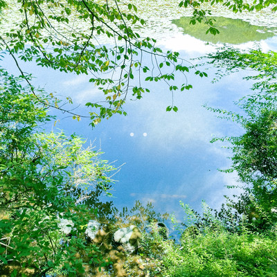 Eyes Front Cover