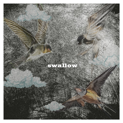 swallow (feat. SAYTOZ)のジャケット写真
