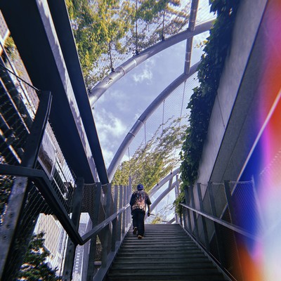 505のジャケット写真