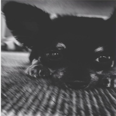 7/10のジャケット写真