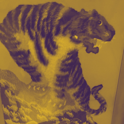 torajiのジャケット写真