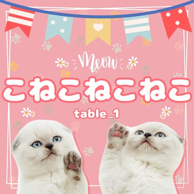 Kitten Cat Cat Front Cover