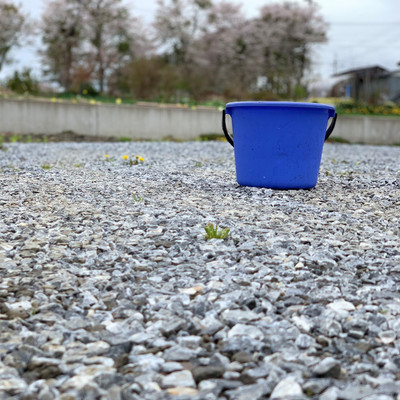 Bucket (feat. Otokohakusaiyo) Front Cover