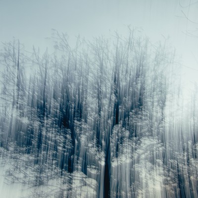 ハザクラのジャケット写真