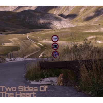 Two Sides Of The Heart Front Cover