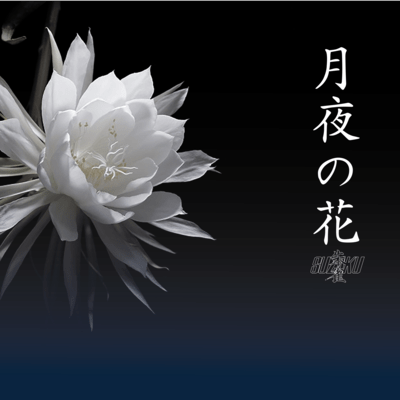 月夜の花のジャケット写真