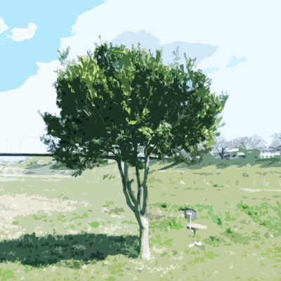 試験放送 Front Cover