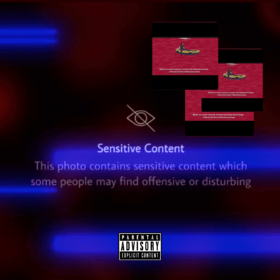Swallow Front Cover