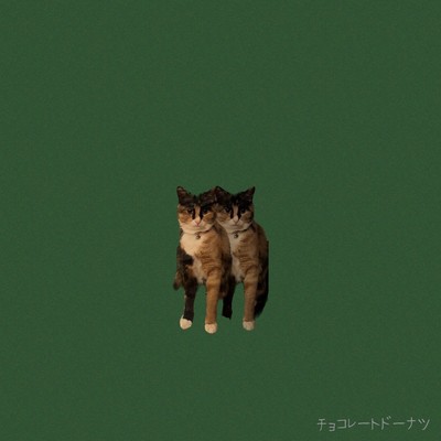 チョコレートドーナツのジャケット写真