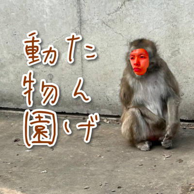 Tange zoo Front Cover