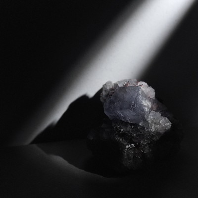 白鯨のジャケット写真