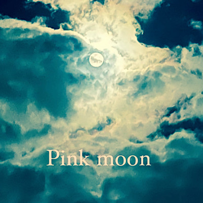 Ronリネスのジャケット写真