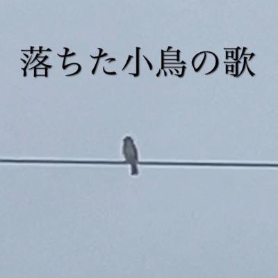落ちた小鳥の歌のジャケット写真