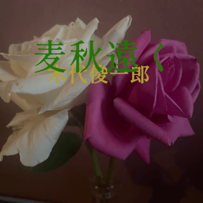 麦秋遠くのジャケット写真