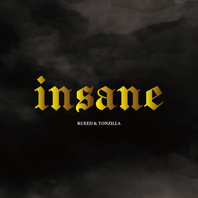 INSANE Front Cover