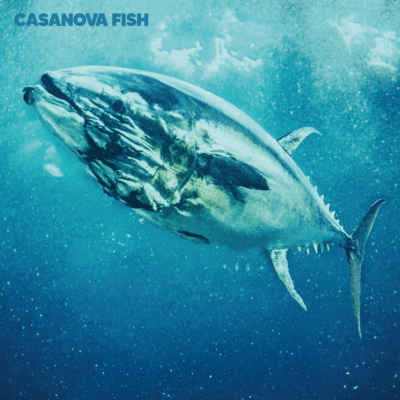 CASANOVA FISHのジャケット写真