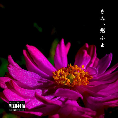 KIMIOMOUYO Front Cover