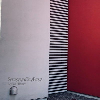 Are You There?のジャケット写真